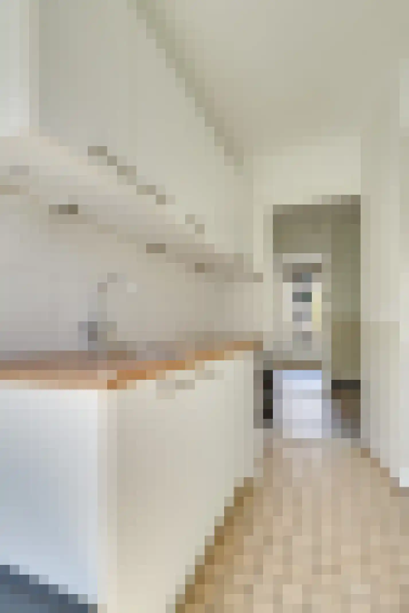 Tolsteegplantsoen 21 1 Utrecht thumbnail 17