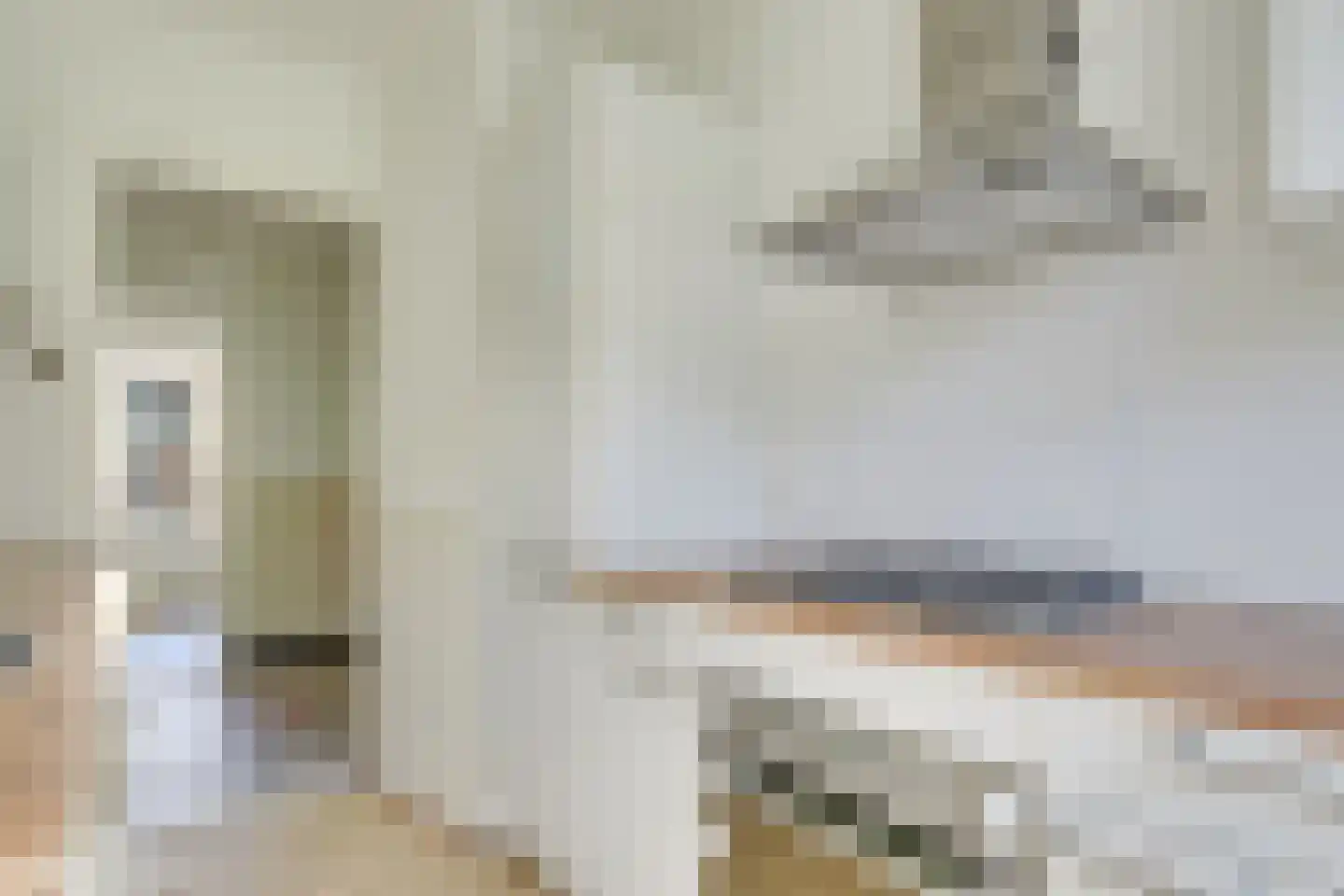 Tolsteegplantsoen 21 1 Utrecht thumbnail 19