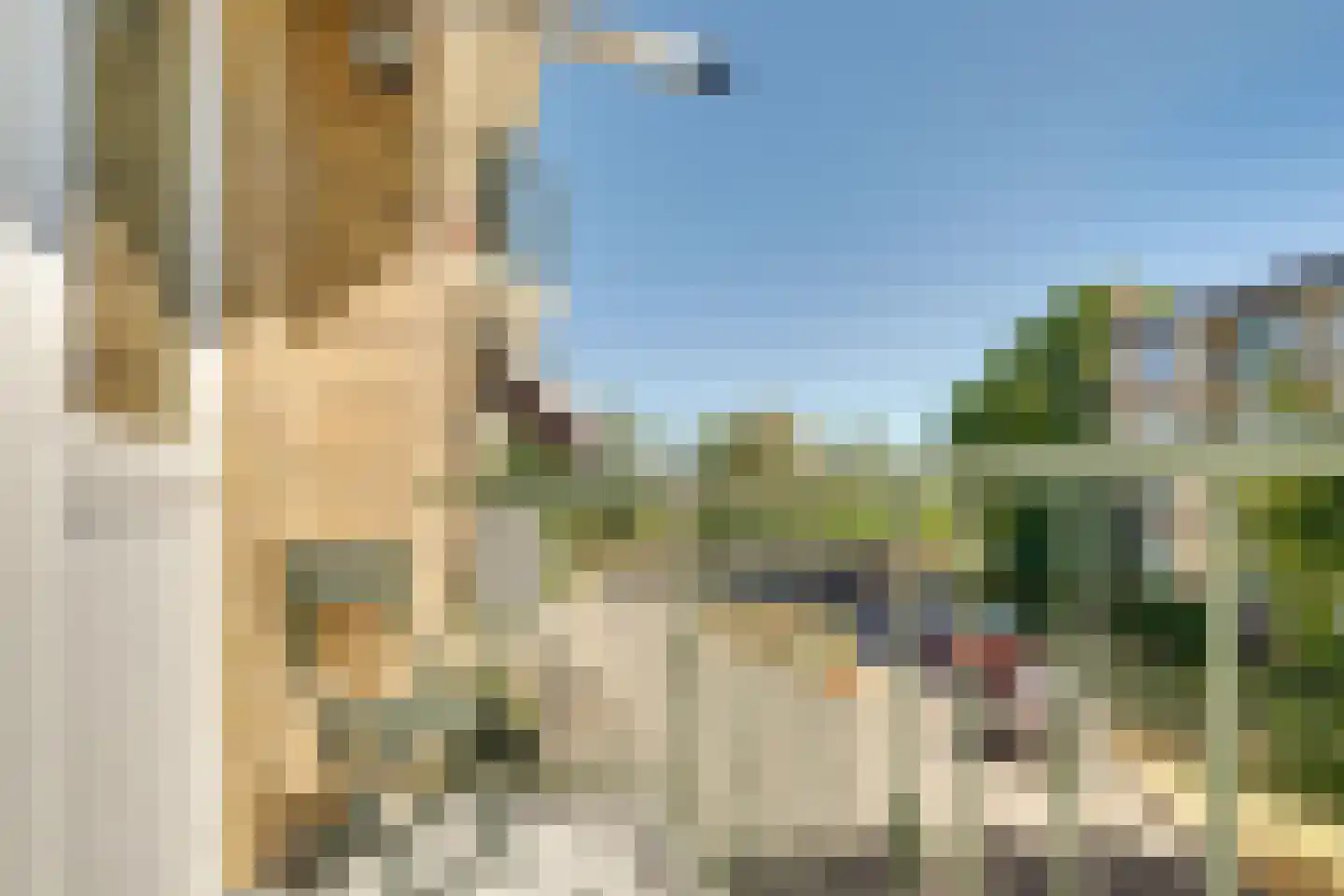Tolsteegplantsoen 21 1 Utrecht thumbnail 27