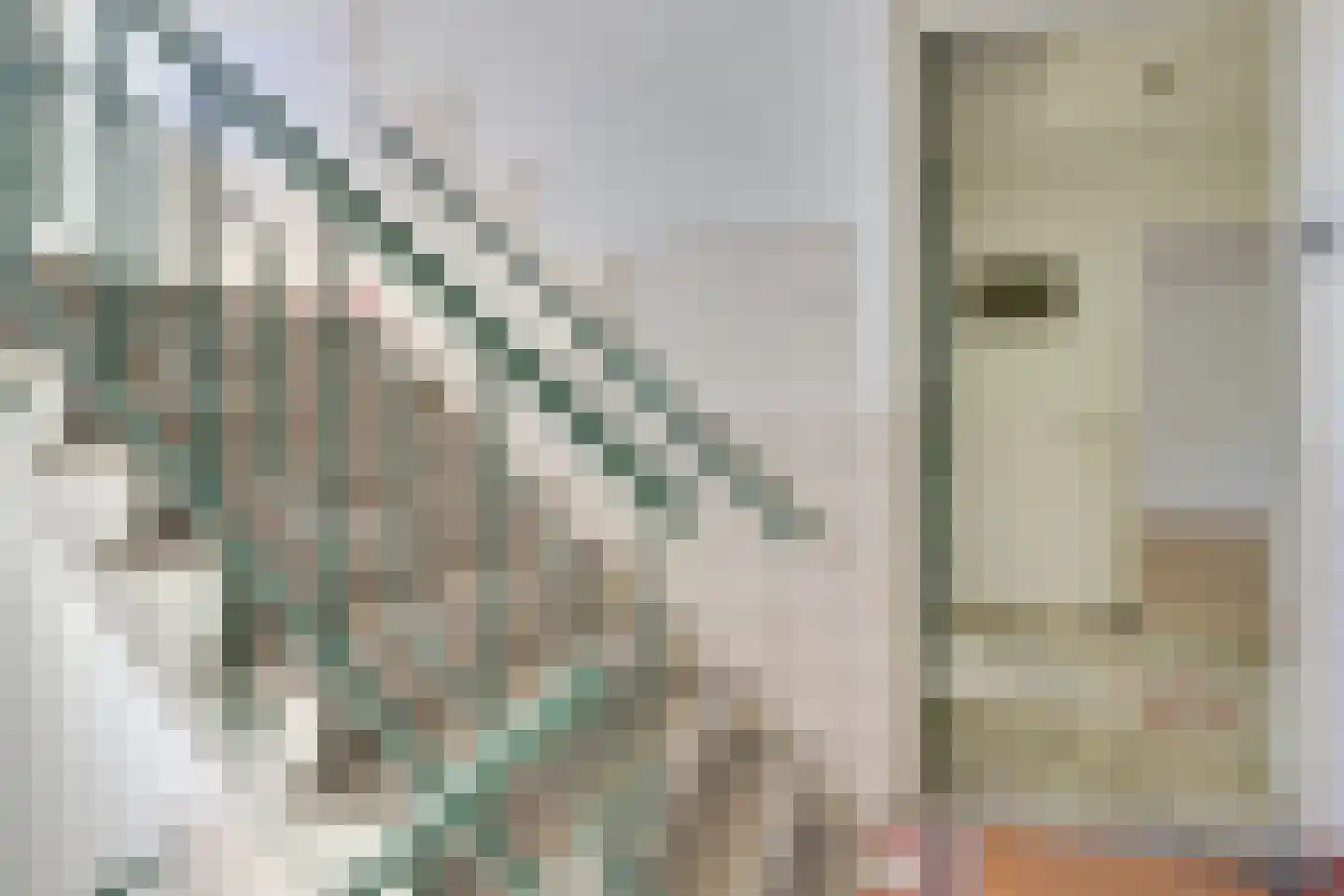 Tolsteegplantsoen 21 1 Utrecht thumbnail 37