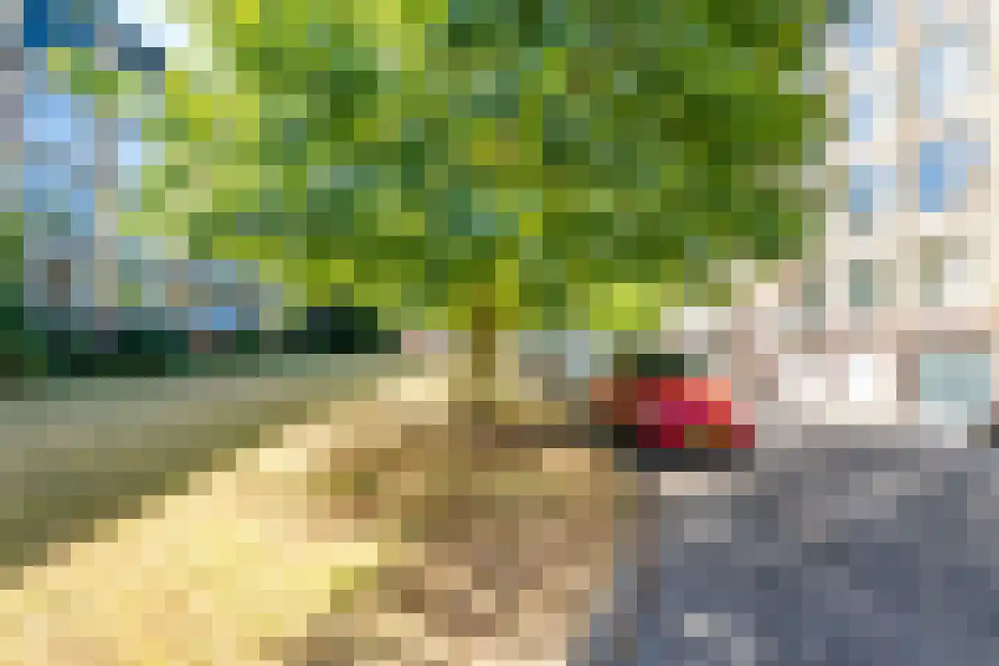 Tolsteegplantsoen 21 1 Utrecht thumbnail 43