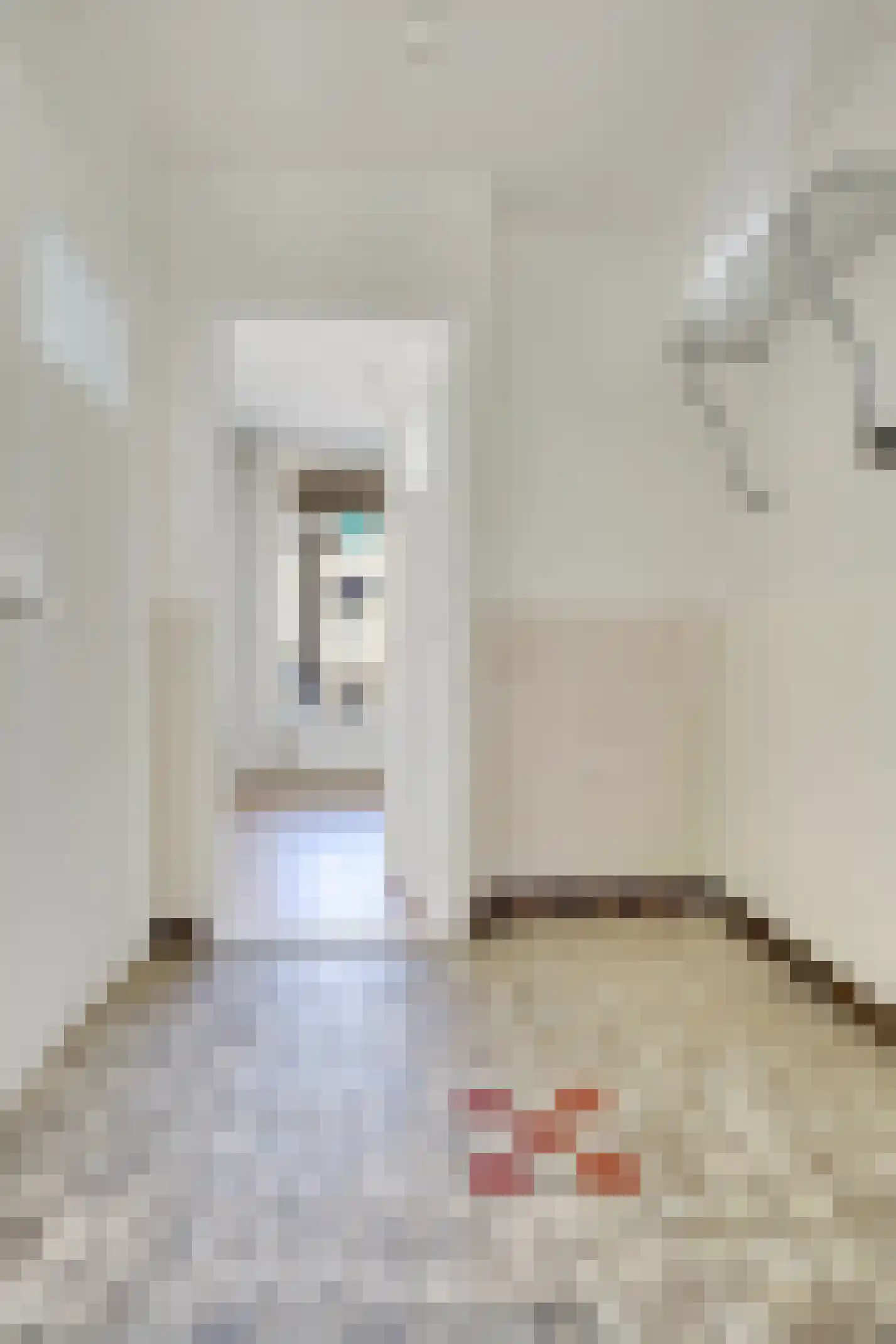 Tolsteegplantsoen 21 1 Utrecht thumbnail 7