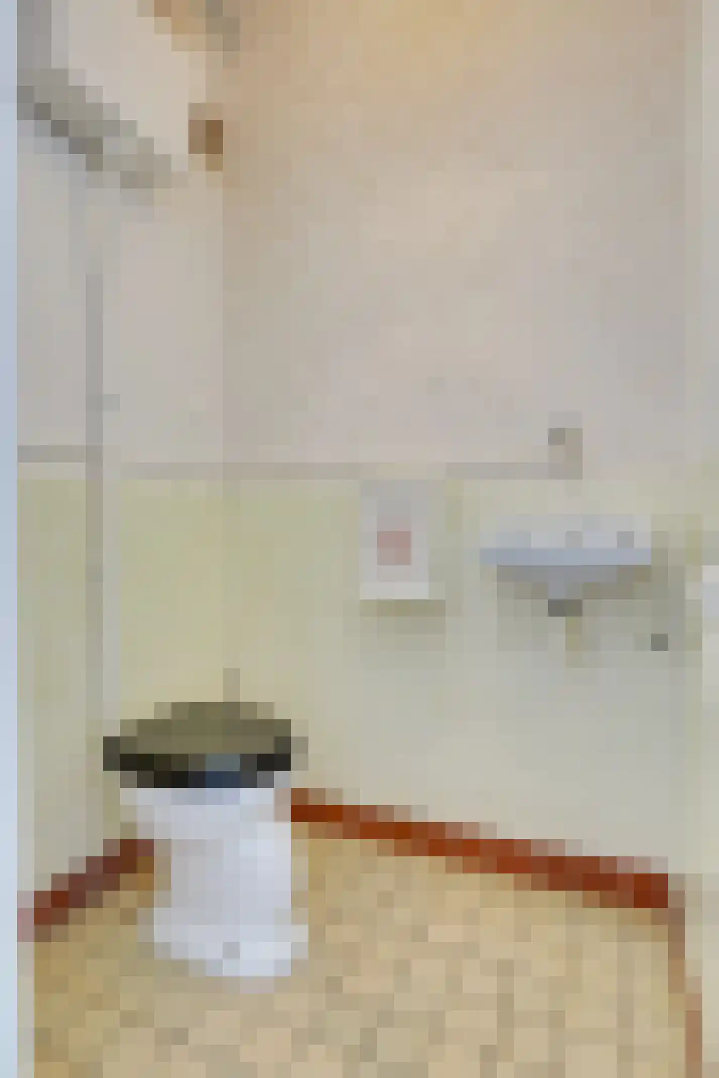 Tolsteegplantsoen 21 1 Utrecht thumbnail 8