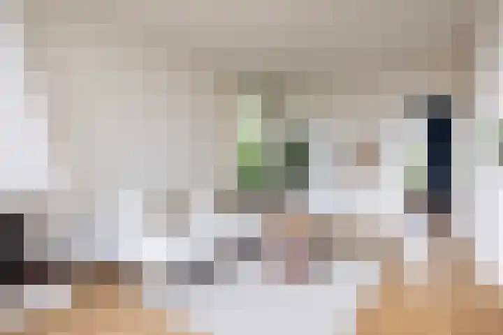 Tolsteegplantsoen 26 2 Utrecht thumbnail 10