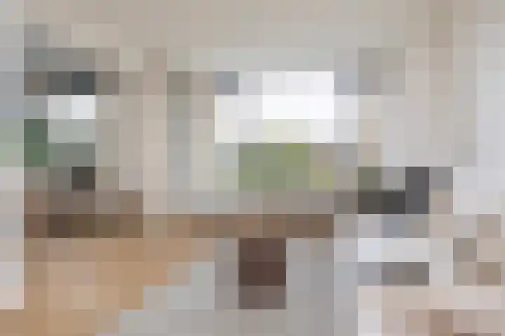 Tolsteegplantsoen 26 2 Utrecht thumbnail 11