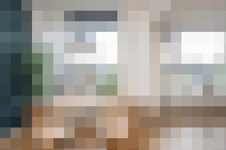 Tolsteegplantsoen 26 2 Utrecht thumbnail 15