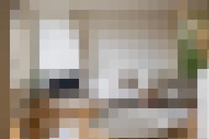 Tolsteegplantsoen 26 2 Utrecht thumbnail 17