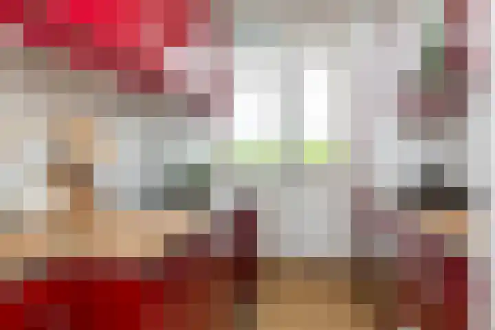 Tolsteegplantsoen 26 2 Utrecht thumbnail 19