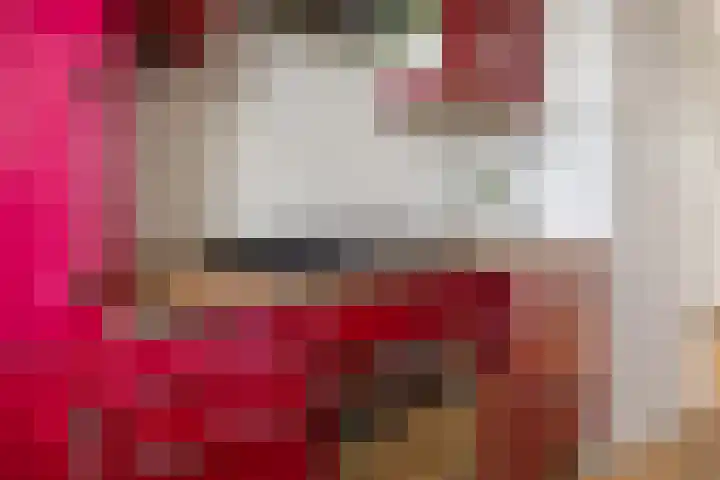 Tolsteegplantsoen 26 2 Utrecht thumbnail 21