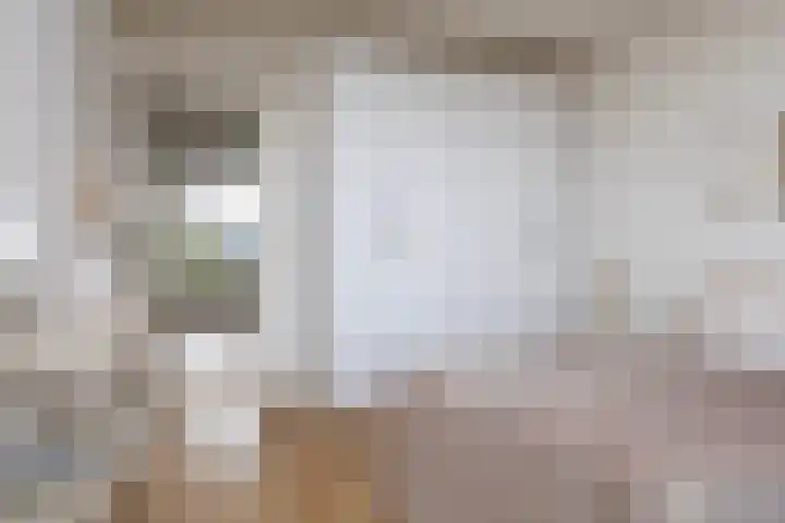 Tolsteegplantsoen 26 2 Utrecht thumbnail 24