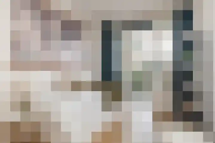 Tolsteegplantsoen 26 2 Utrecht thumbnail 28