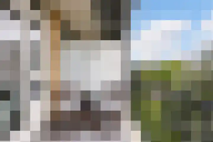 Tolsteegplantsoen 26 2 Utrecht thumbnail 31