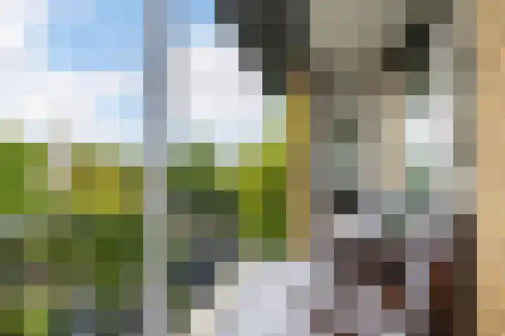 Tolsteegplantsoen 26 2 Utrecht thumbnail 32