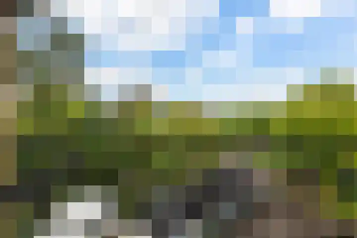 Tolsteegplantsoen 26 2 Utrecht thumbnail 33