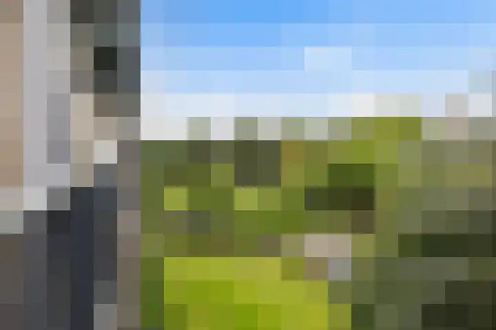 Tolsteegplantsoen 26 2 Utrecht thumbnail 35