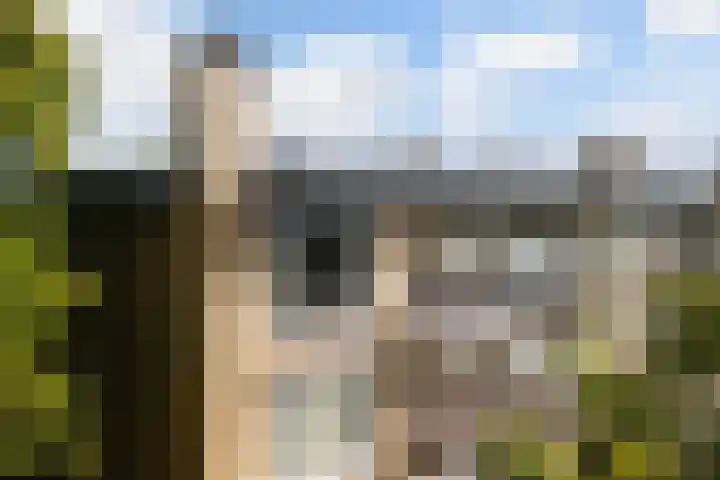 Tolsteegplantsoen 26 2 Utrecht thumbnail 36
