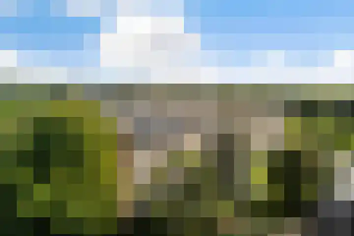 Tolsteegplantsoen 26 2 Utrecht thumbnail 37