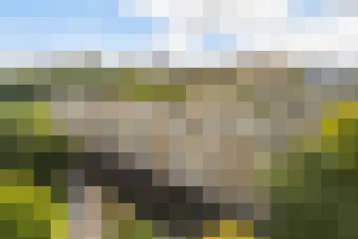 Tolsteegplantsoen 26 2 Utrecht thumbnail 38
