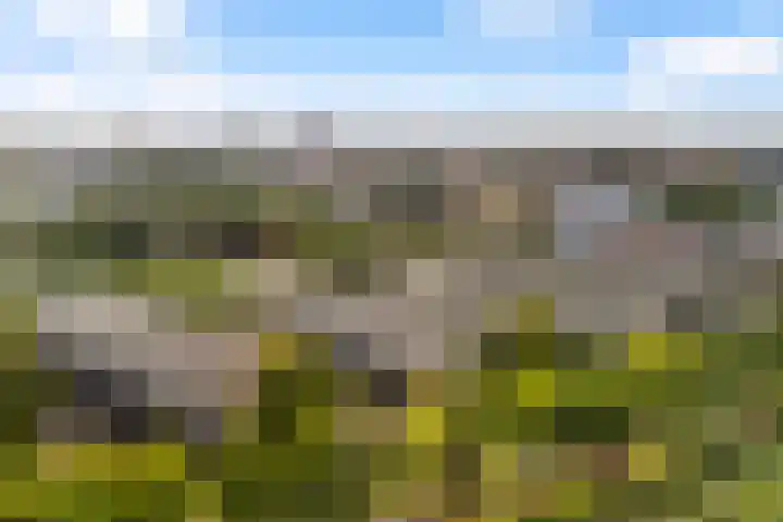 Tolsteegplantsoen 26 2 Utrecht thumbnail 39