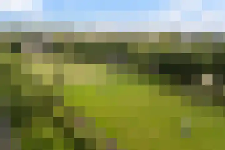 Tolsteegplantsoen 26 2 Utrecht thumbnail 40