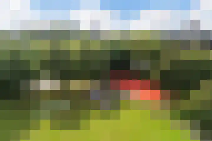 Tolsteegplantsoen 26 2 Utrecht thumbnail 41