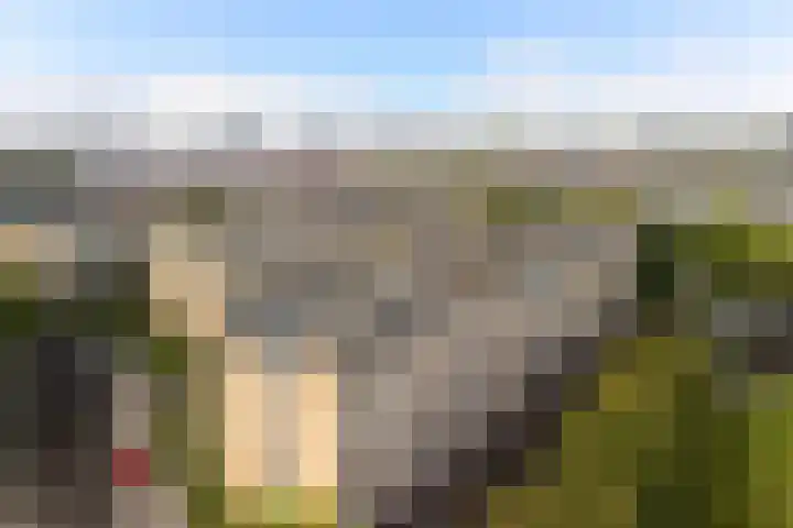 Tolsteegplantsoen 26 2 Utrecht thumbnail 42