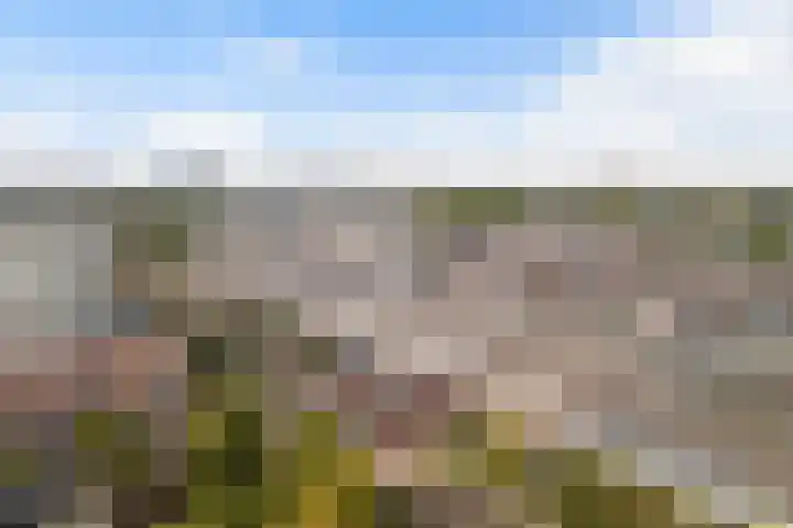 Tolsteegplantsoen 26 2 Utrecht thumbnail 43