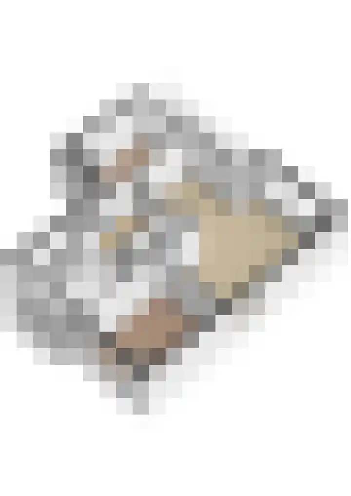 Tolsteegplantsoen 26 2 Utrecht thumbnail 47