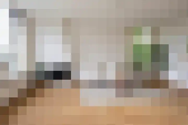 Tolsteegplantsoen 26 2 Utrecht thumbnail 9