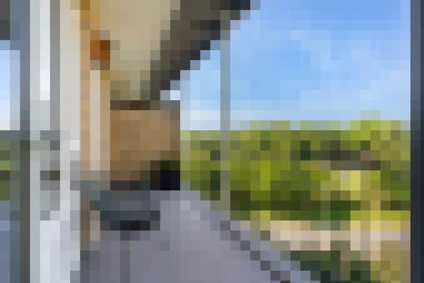 Tolsteegplantsoen 28 3 Utrecht thumbnail 19