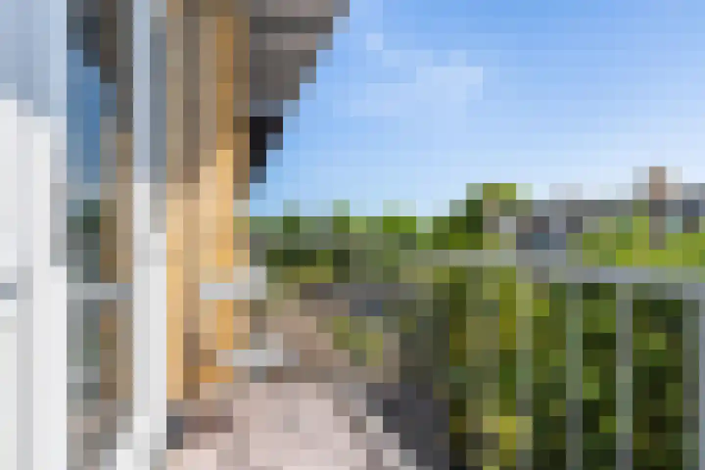 Tolsteegplantsoen 28 3 Utrecht thumbnail 33