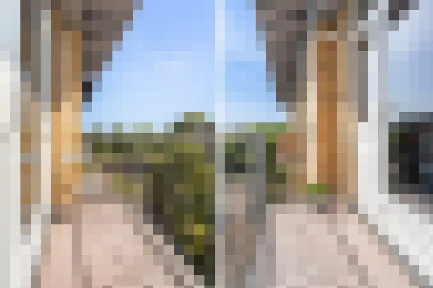 Tolsteegplantsoen 28 3 Utrecht thumbnail 34