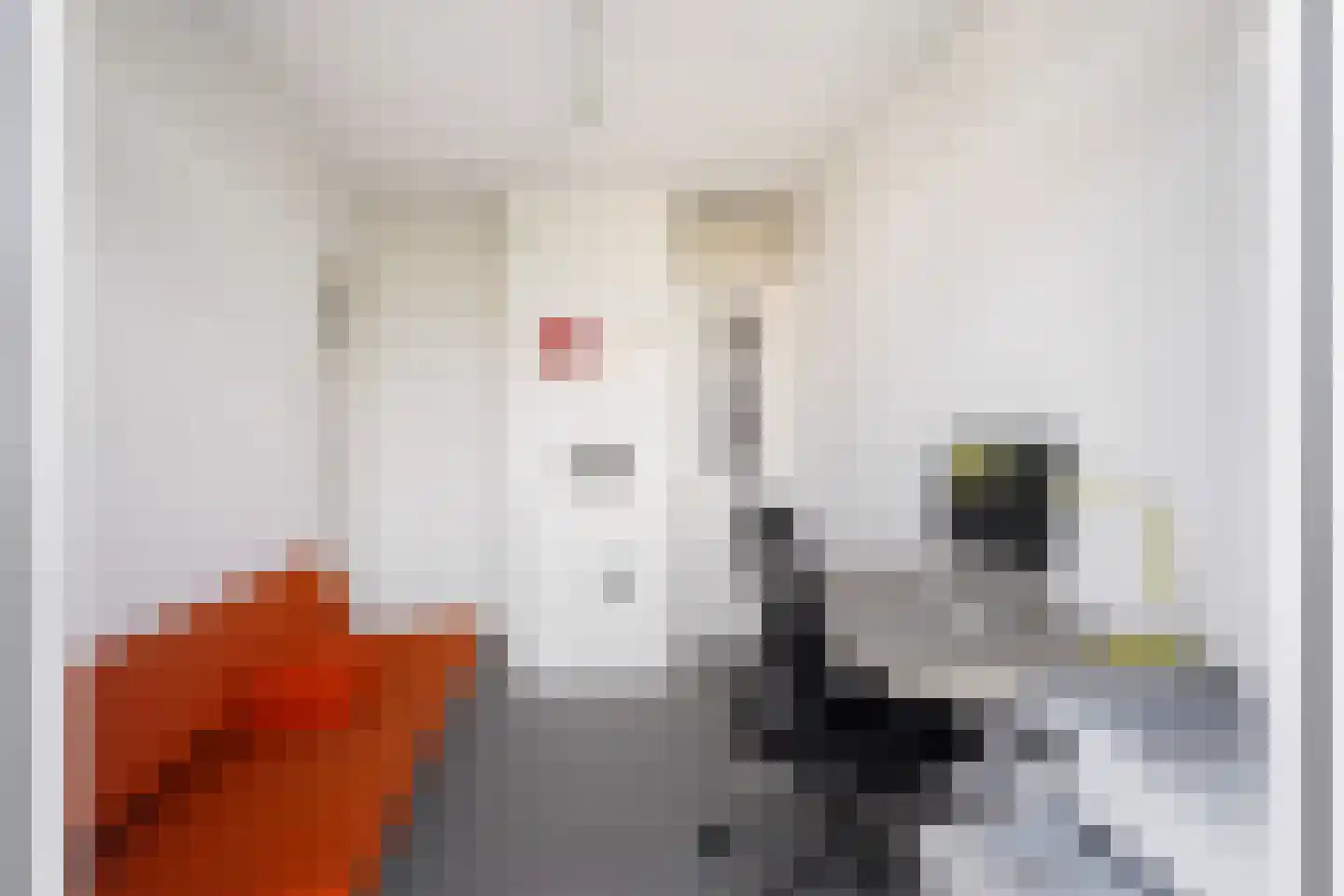 Tolsteegplantsoen 28 3 Utrecht thumbnail 41