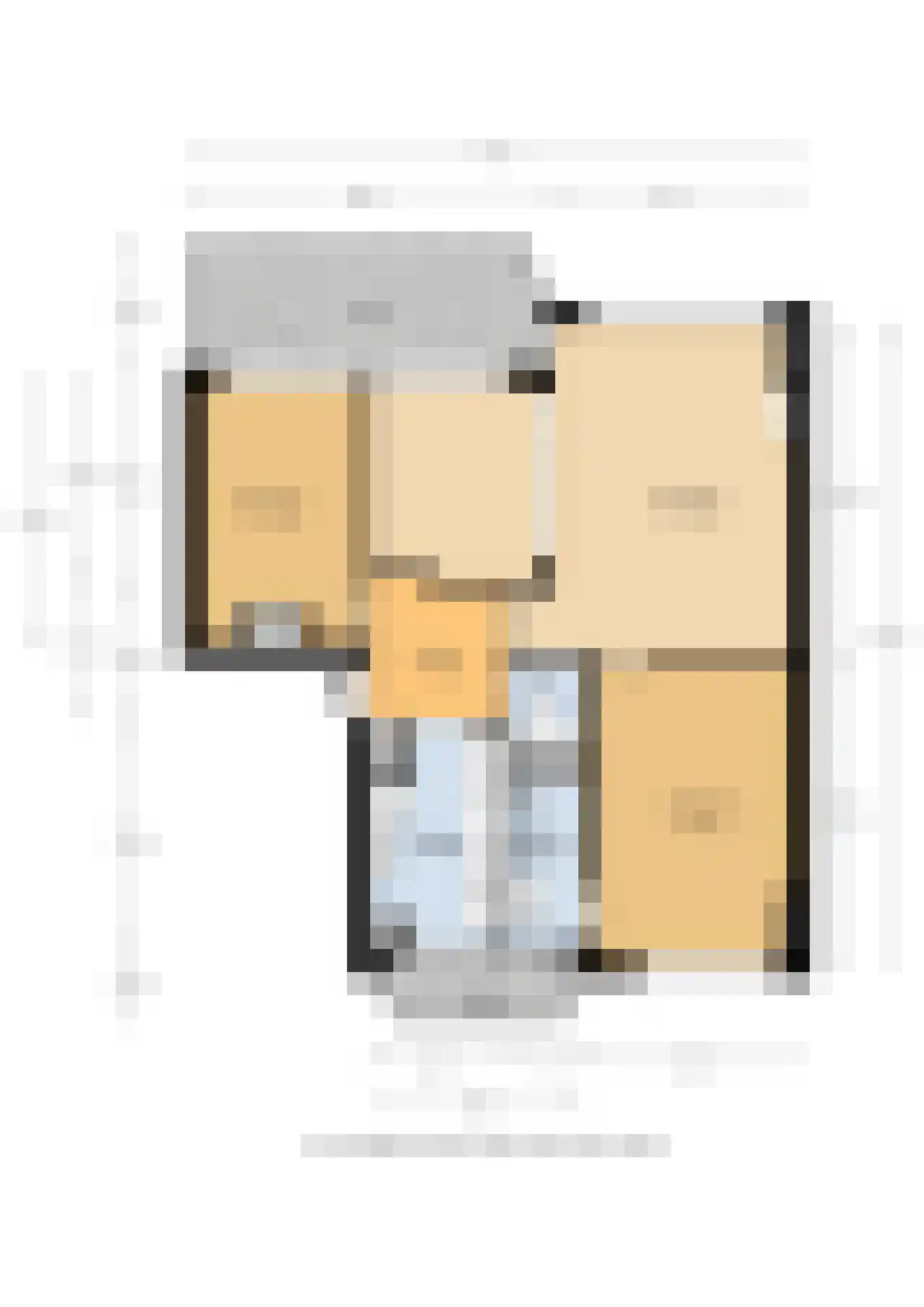 Tolsteegplantsoen 28 3 Utrecht thumbnail 59