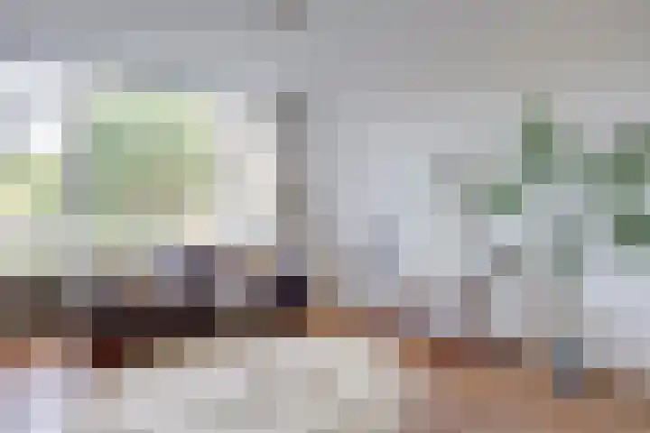 Tolsteegplantsoen 28 Utrecht thumbnail 10