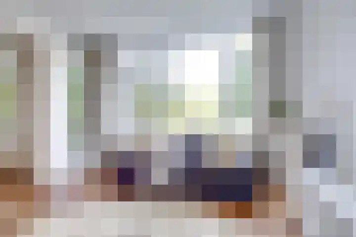 Tolsteegplantsoen 28 Utrecht thumbnail 11