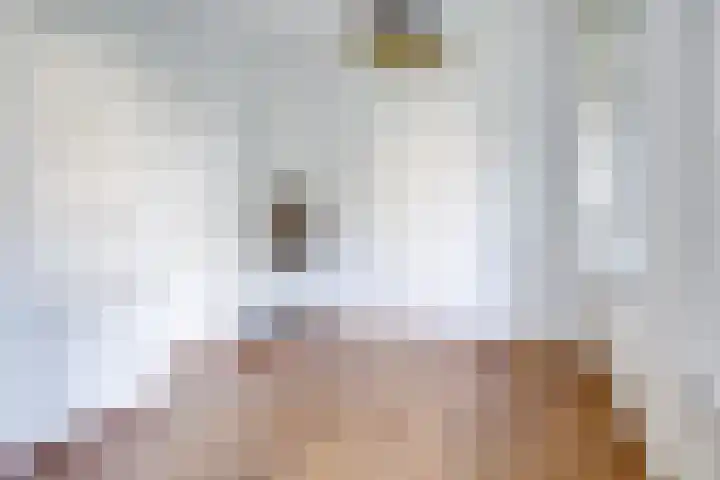 Tolsteegplantsoen 28 Utrecht thumbnail 14