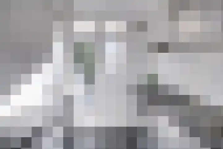 Tolsteegplantsoen 28 Utrecht thumbnail 16