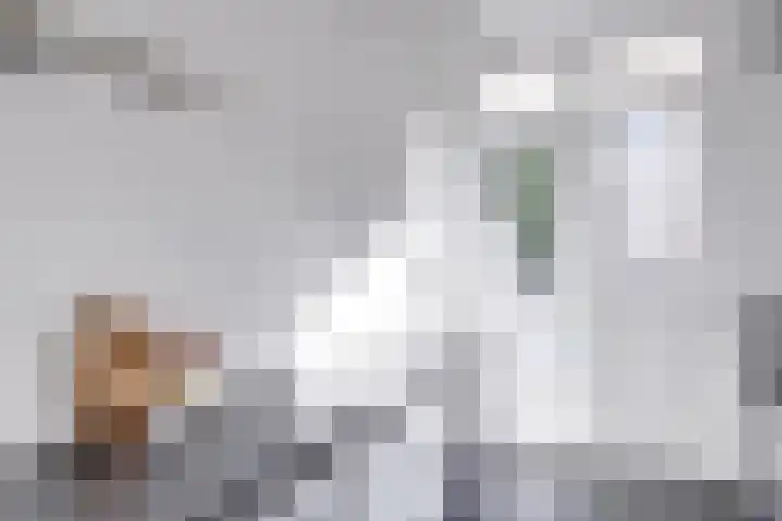 Tolsteegplantsoen 28 Utrecht thumbnail 17