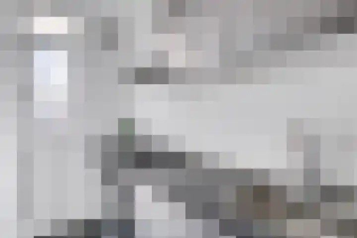Tolsteegplantsoen 28 Utrecht thumbnail 18
