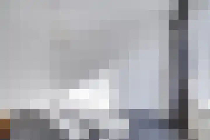 Tolsteegplantsoen 28 Utrecht thumbnail 20