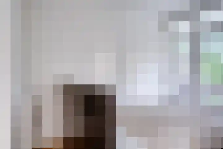 Tolsteegplantsoen 28 Utrecht thumbnail 23