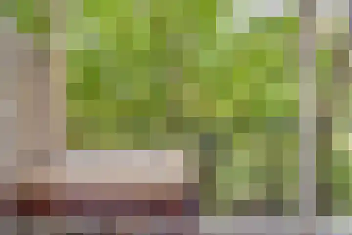 Tolsteegplantsoen 28 Utrecht thumbnail 30