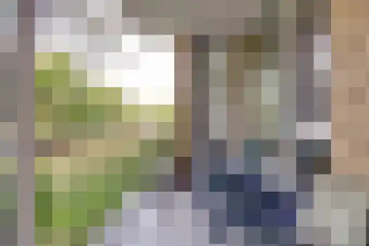 Tolsteegplantsoen 28 Utrecht thumbnail 31