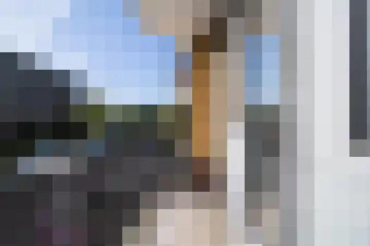 Tolsteegplantsoen 28 Utrecht thumbnail 33
