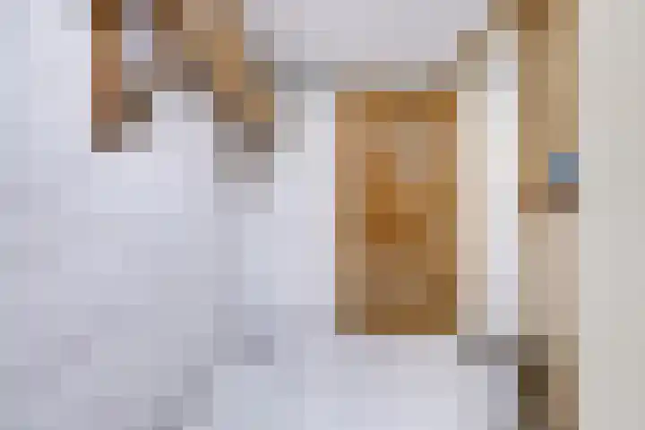 Tolsteegplantsoen 28 Utrecht thumbnail 37