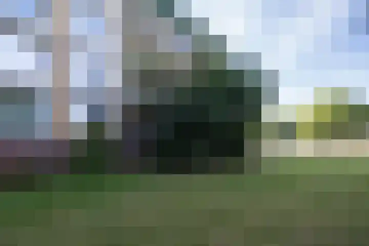 Tolsteegplantsoen 28 Utrecht thumbnail 42