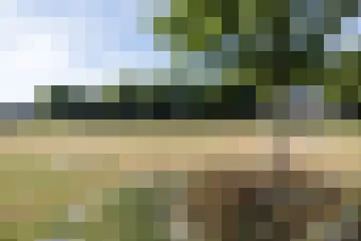 Tolsteegplantsoen 28 Utrecht thumbnail 44