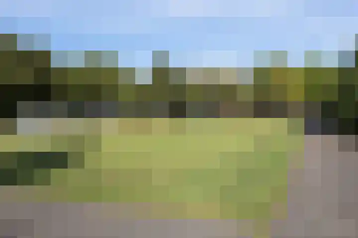 Tolsteegplantsoen 28 Utrecht thumbnail 45