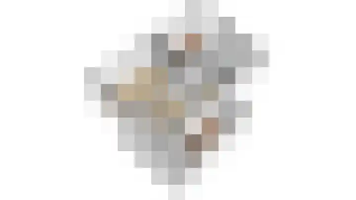 Tolsteegplantsoen 28 Utrecht thumbnail 49